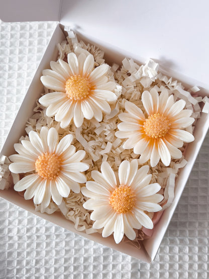 Coffret marguerite Fondants parfumés