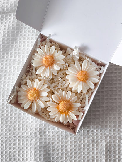 Coffret marguerite Fondants parfumés