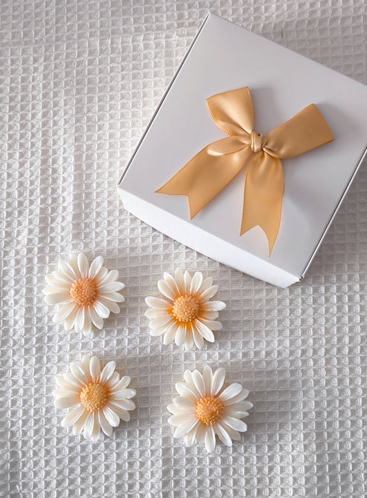 Coffret marguerite Fondants parfumés